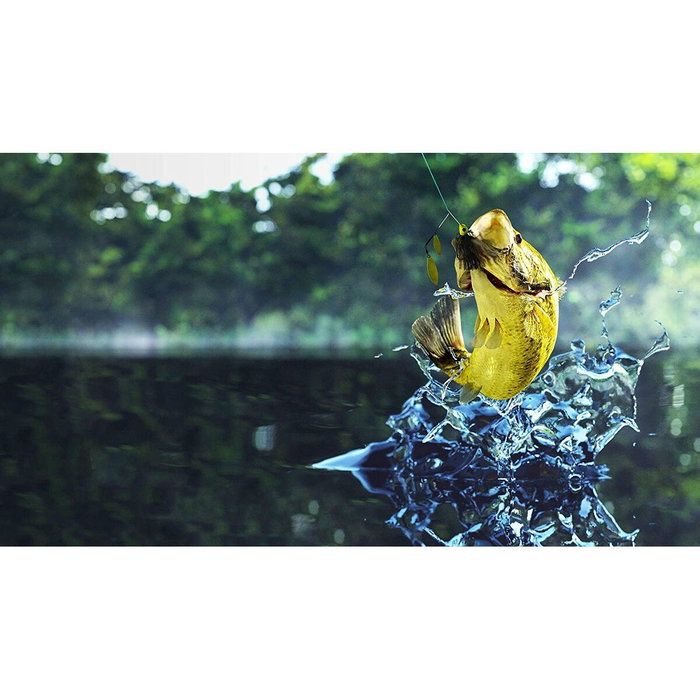 Jeu vidéo PlayStation 4 Nacon PS4FISHPLANLTDSPPT