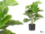 IBERGARDEN Maceta Planta Hojas Anchas 70 cm Plastique Vert Noir 18 Feuilles (Set de 6)