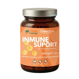 ENERGY FEELINGS INMUNE SUPPORT 120 comprimés