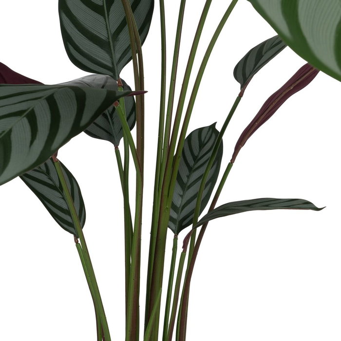 BigBuy Home Plante décorative PVC Ciment Tissu 40 x 40 x 150 cm