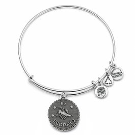 Alex And Ani Bracelet Scorpion Gris en Métal