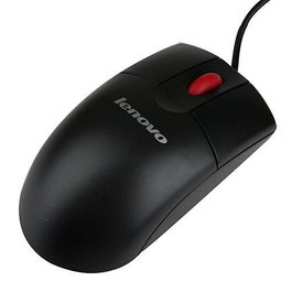 Lenovo ThinkPlus Souris Optique USB