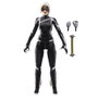 Hasbro Marvel Legends Felicia Hardy Black Cat Spider-Man 2
