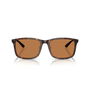 Lunettes de soleil Homme Emporio Armani EA 4241D Multicouleur