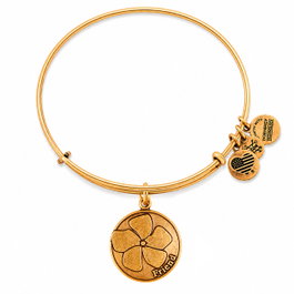 Alex And Ani Pulsera Friend Dorée Ajustable