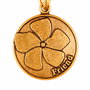 Alex And Ani Pulsera Friend Dorée Ajustable