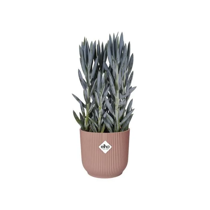 Elho Pot de fleurs rond Vibes Fold avec roues Ø 35 x H 32 cm pour intérieur en plastique 100% recyclé - Rose