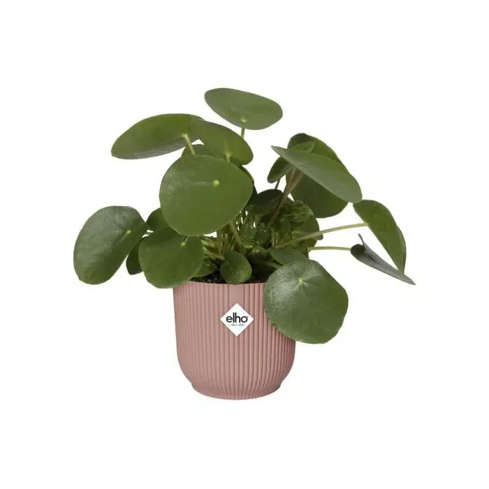 Elho Pot de fleurs rond Vibes Fold avec roues Ø 35 x H 32 cm pour intérieur en plastique 100% recyclé - Rose