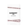 Burberry HER Eau de Parfum Vaporisateur 100 ml