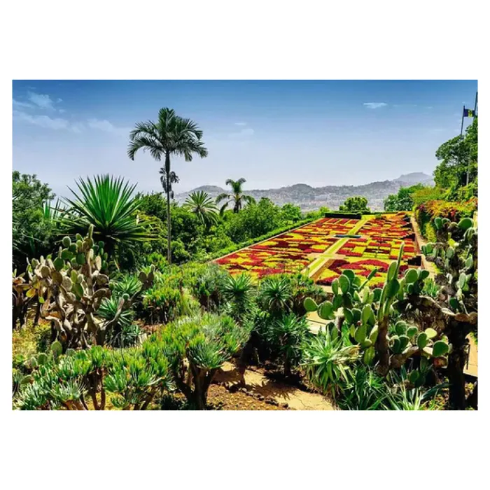 Nathan Jeux Puzzle 1000 pièces Jardin botanique Ravensburger Nathan Jeux Puzzle 1000 pièces Jardin botanique Ravensburger
