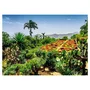 Nathan Jeux Puzzle 1000 pièces Jardin botanique Ravensburger