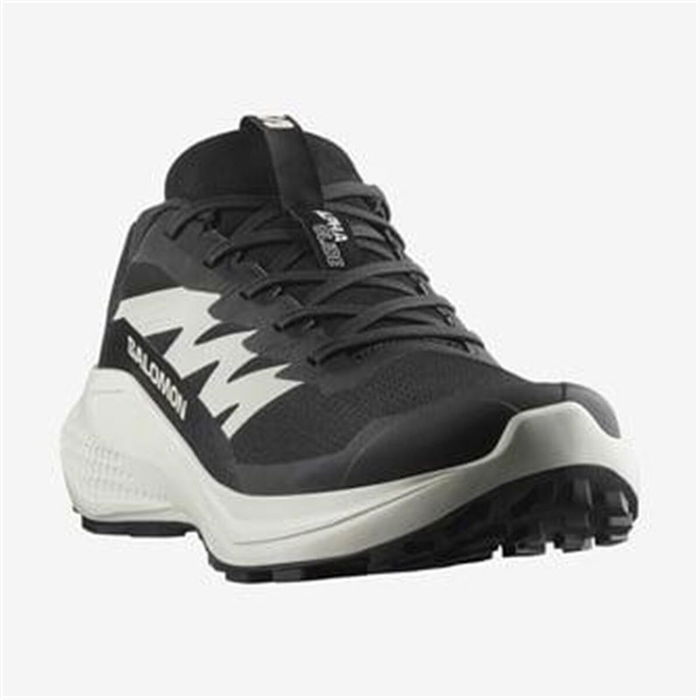 Chaussures de trail pour homme (course en montagne) Salomon Alphaglide Noir M
