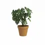 Artevasi Pot de Fleurs CAPRI - 40 ma - Jaune Miel - Plastique - Dimensions 40 x 40 x 34.7 cm
