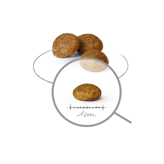 Nourriture Royal Canin Oiseaux 1,5 Kg