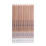 Bruynzeel Design Crayon Pastel Blanc #01