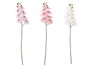 IBERGARDEN Branche d'Orchidée Artificielle 105 cm, Lot de 24, Assortiment Blanc, Rose et Vert
