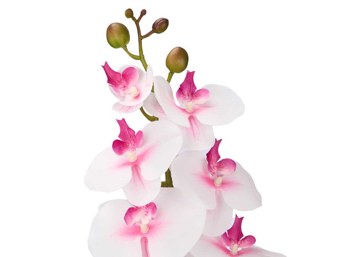IBERGARDEN Branche d'Orchidée Artificielle 105 cm, Lot de 24, Assortiment Blanc, Rose et Vert