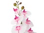 IBERGARDEN Branche d'Orchidée Artificielle 105 cm, Lot de 24, Assortiment Blanc, Rose et Vert