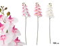IBERGARDEN Branche d'Orchidée Artificielle 105 cm, Lot de 24, Assortiment Blanc, Rose et Vert