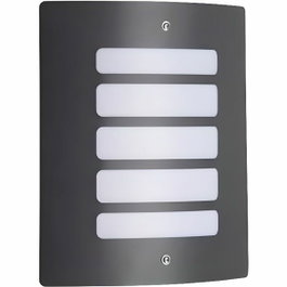 Brilliant Applique murale extérieure Todd Anthracite 60W