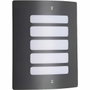 Brilliant Applique murale extérieure Todd Anthracite 60W