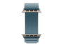 Apple Smartwatch Watch Ultra 3 Titanium Natural - 49mm - Loop Alpine Bleu Clair - 64 Go