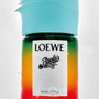 Loewe PAULA'S IBIZA Eau de Toilette Vaporisateur 100 ml