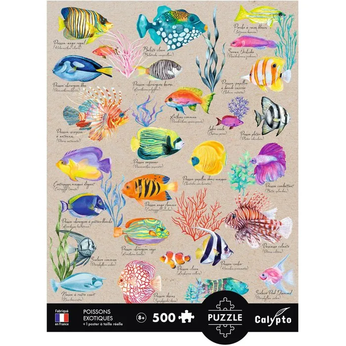 Sentosphere Calypto - Puzzle 500 Pièces - Affiche