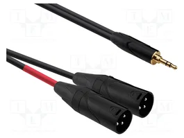 REDS MUSIC Câble Jack 3,5mm vers 2x XLR mâle 3pin, 1m