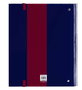 Safta CARP 4 ANI 35MM C/RECAMBIO F.C.BARCELONA 27x32x3,5 cm - Puzzle en bois 35 pièces avec pièces de rechange - Thème FC Barcelone - Version espagnole