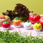 Cook Concept Temporisateur Verduras LUDIQUE