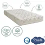 P'Tit Lit - Matelas Bébé Coton Bio 60x120 cm - Housse 100% Coton Délavable - Mousse Polyuréthane 23kg/m3 - Sans Traitement Chimique - Déhoussable