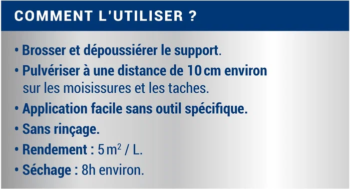 Ripolin Anti-Moisissure Incolore 0,5L