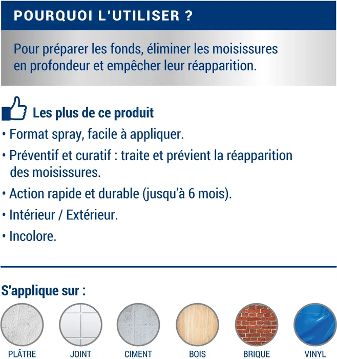 Ripolin Anti-Moisissure Incolore 0,5L