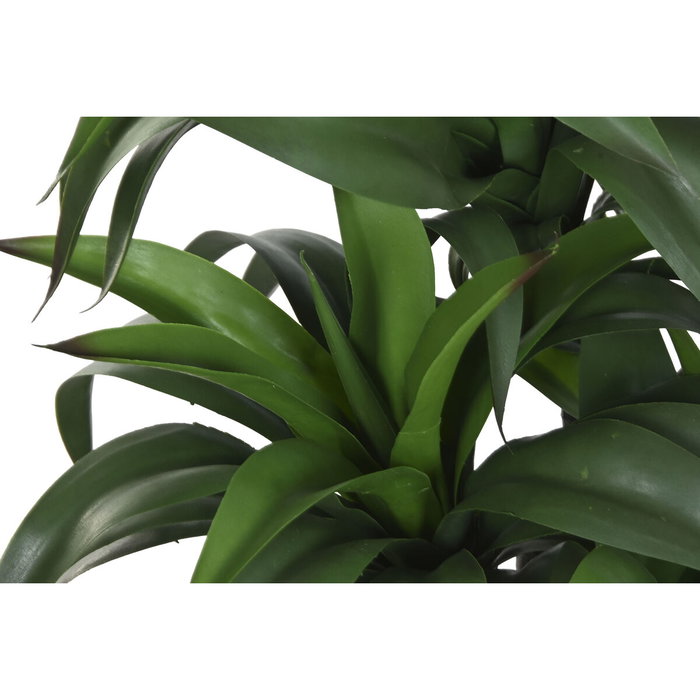 Home ESPRIT Plante décorative Résine Polyéthylène 50 x 50 x 102 cm