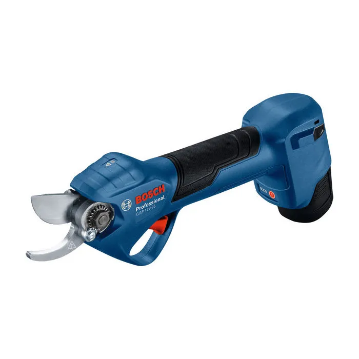 Bosch Professional GGP 12V-25 Professional avec 2 Batteries et 1 Chargeur Bosch Professional GGP 12V-25 Professional avec 2 Batteries et 1 Chargeur