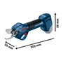 Bosch Professional GGP 12V-25 Professional avec 2 Batteries et 1 Chargeur