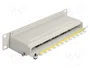 DELOCK Panneau de brassage Cat 6a 8 ports RJ45 10 pouces 1U