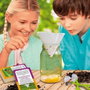 Lisciani Giochi IMAGENIUS POCKET Découverte des insectes - Kit Scientifique