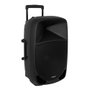 Fonestar Malibu - 315 Enceinte Portative Bluetooth USB MicroSD FM avec 2 Micros UHF et Batterie 250W