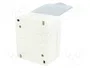 PAWBOL Socle d'alimentation AC 2P+PE Gris IP44