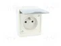 PAWBOL Socle d'alimentation AC 2P+PE Gris IP44