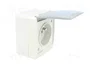 PAWBOL Socle d'alimentation AC 2P+PE Gris IP44