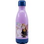 Licensing Bouteille PP Diario Frozen 560ml Rose