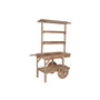 Chariot de Jardin Home ESPRIT Naturel 108 x 53 x 167 cm