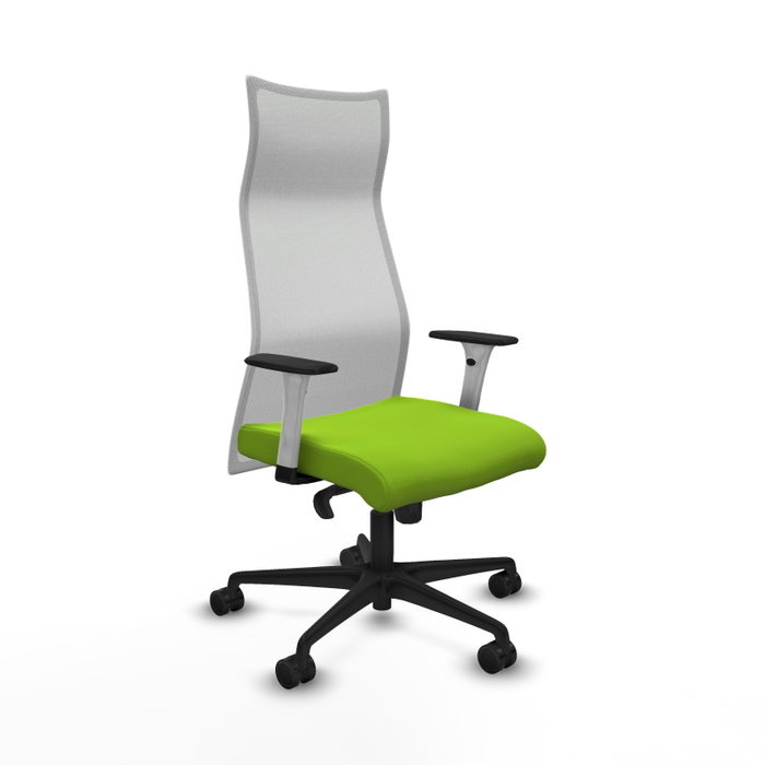 Piqueras y Crespo Chaise de Bureau Albacete Pistache et Blanc Piqueras y Crespo Chaise de Bureau Albacete Pistache et Blanc