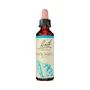 Bach Original Rock Water 20 ml