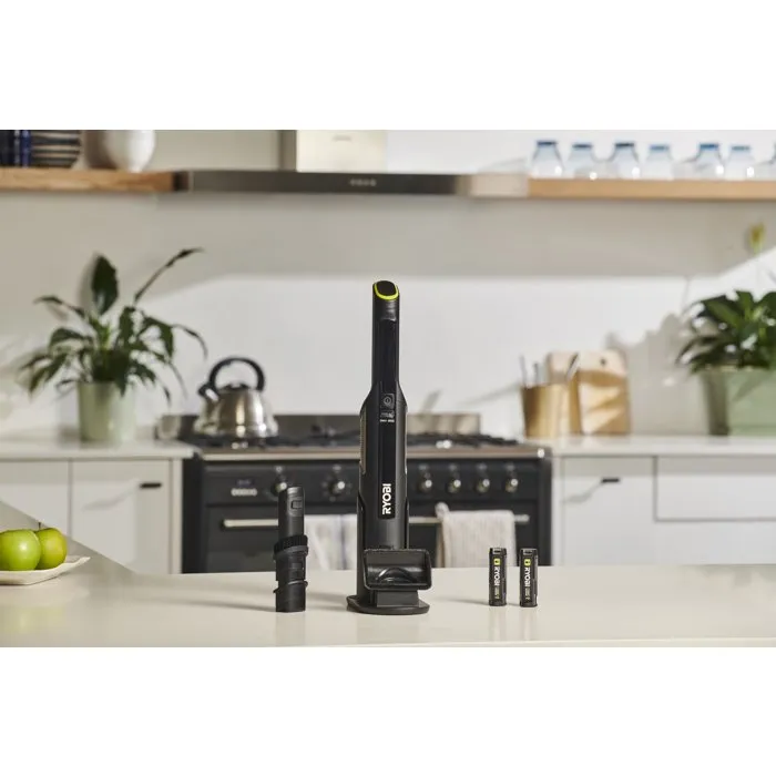 Ryobi RHV44-220G Aspirateur à main 4V USB Lithium avec 2 batteries 2Ah et chargeur