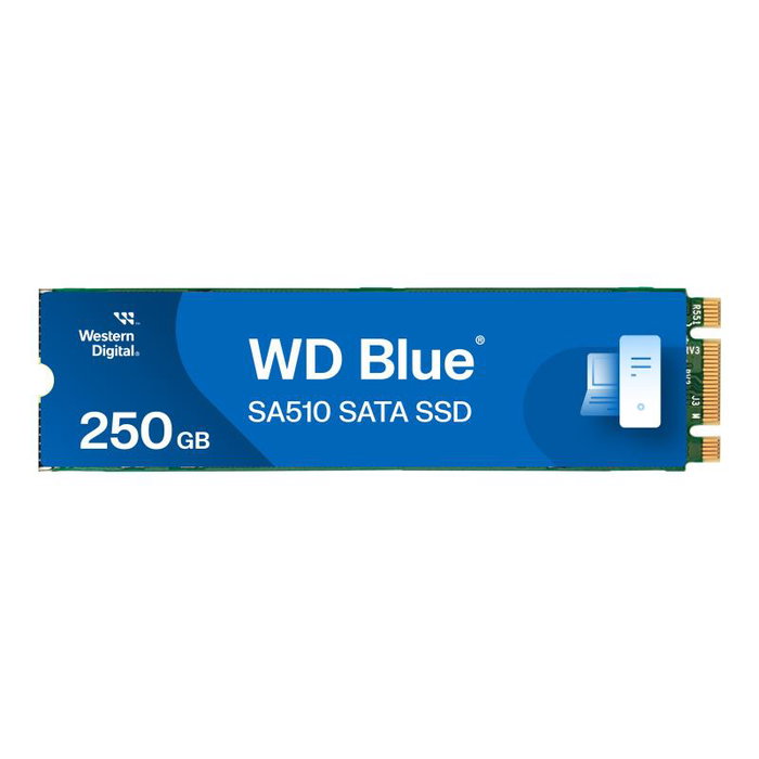 Western Digital WD Blue SA510 WDS250G3B0B 250 Go M.2 2280 SATA
