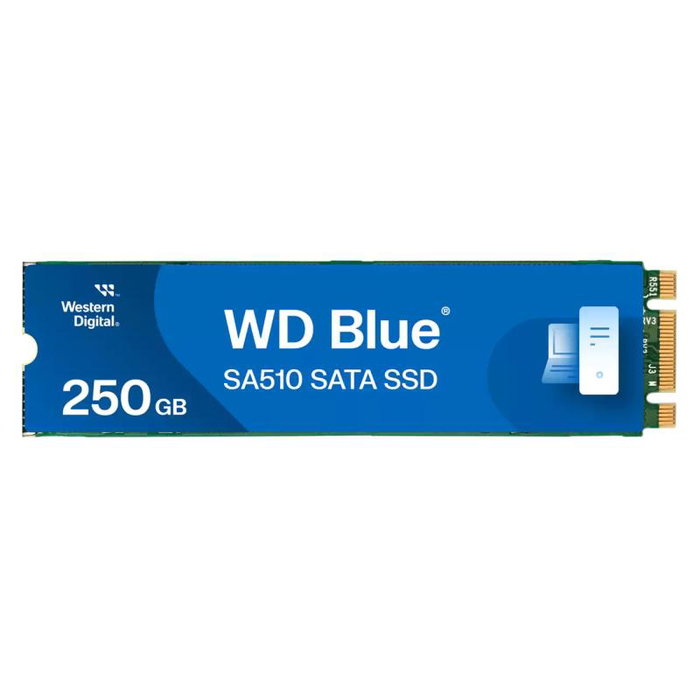 Western Digital WD Blue SA510 WDS250G3B0B 250 Go M.2 2280 SATA